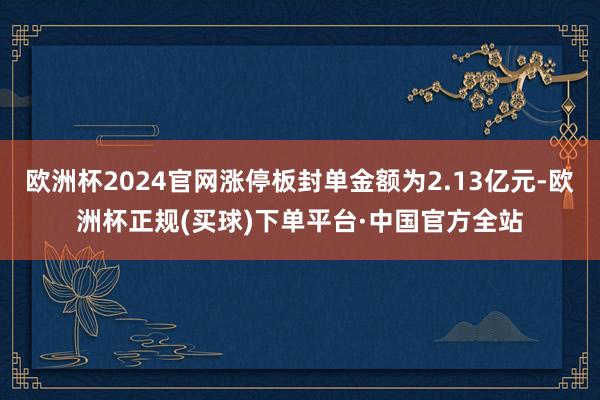欧洲杯2024官网涨停板封单金额为2.13亿元-欧洲杯正规(买球)下单平台·中国官方全站