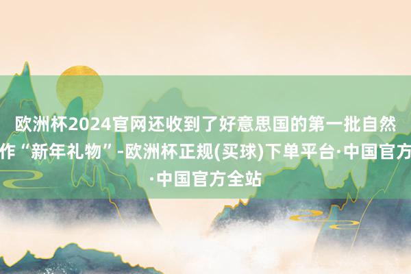 欧洲杯2024官网还收到了好意思国的第一批自然气算作“新年礼物”-欧洲杯正规(买球)下单平台·中国官方全站
