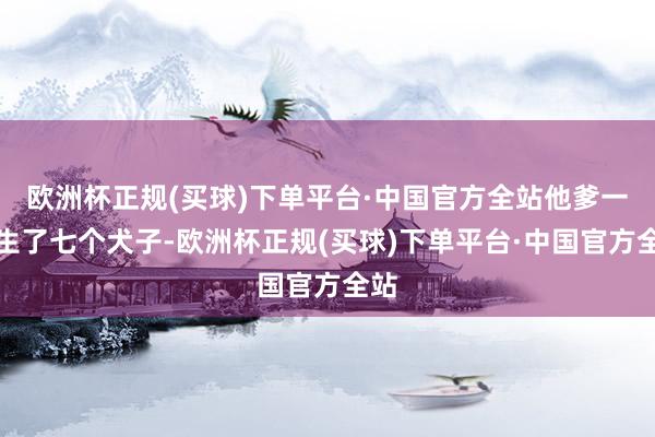 欧洲杯正规(买球)下单平台·中国官方全站他爹一共生了七个犬子-欧洲杯正规(买球)下单平台·中国官方全站