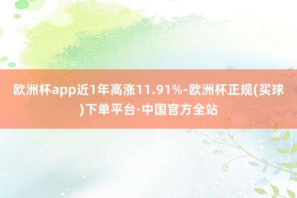 欧洲杯app近1年高涨11.91%-欧洲杯正规(买球)下单平台·中国官方全站