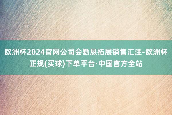 欧洲杯2024官网公司会勤恳拓展销售汇注-欧洲杯正规(买球)下单平台·中国官方全站