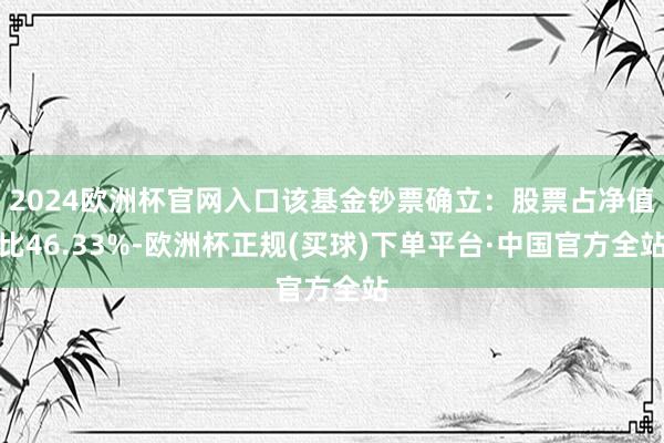 2024欧洲杯官网入口该基金钞票确立：股票占净值比46.33%-欧洲杯正规(买球)下单平台·中国官方全站