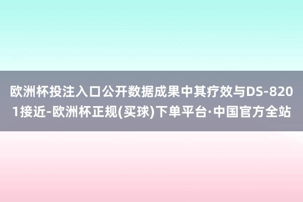 欧洲杯投注入口公开数据成果中其疗效与DS-8201接近-欧洲杯正规(买球)下单平台·中国官方全站