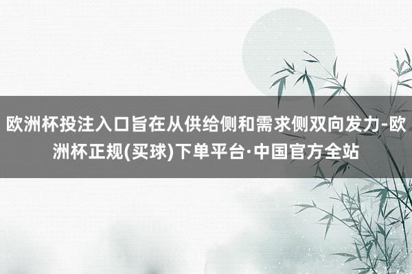欧洲杯投注入口旨在从供给侧和需求侧双向发力-欧洲杯正规(买球)下单平台·中国官方全站