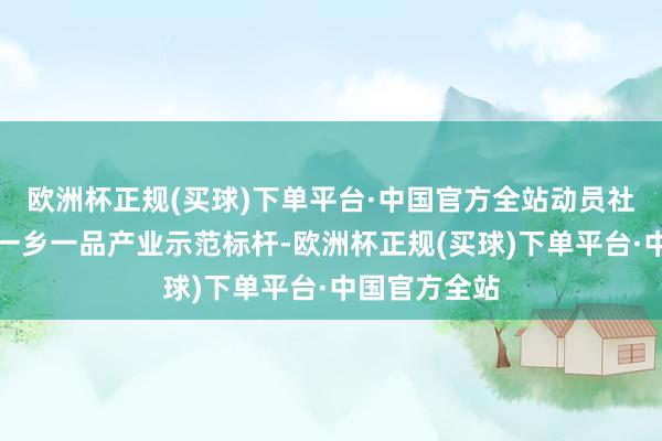欧洲杯正规(买球)下单平台·中国官方全站动员社会力量共建一乡一品产业示范标杆-欧洲杯正规(买球)下单平台·中国官方全站