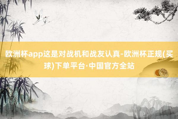 欧洲杯app这是对战机和战友认真-欧洲杯正规(买球)下单平台·中国官方全站