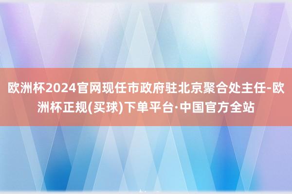 欧洲杯2024官网现任市政府驻北京聚合处主任-欧洲杯正规(买球)下单平台·中国官方全站