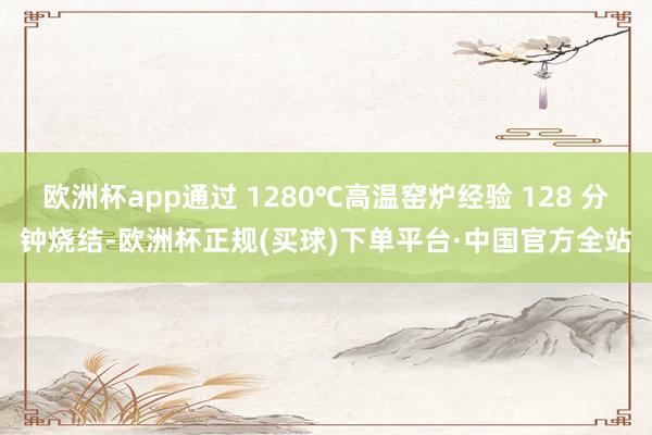 欧洲杯app通过 1280℃高温窑炉经验 128 分钟烧结-欧洲杯正规(买球)下单平台·中国官方全站