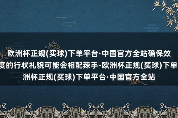 欧洲杯正规(买球)下单平台·中国官方全站确保效能瑞典及您地方国度的行状礼貌可能会相配辣手-欧洲杯正规(买球)下单平台·中国官方全站