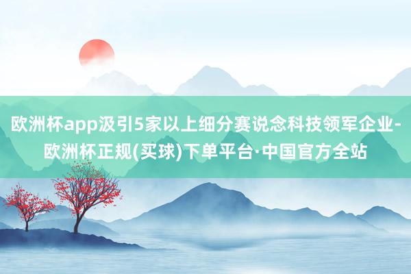 欧洲杯app汲引5家以上细分赛说念科技领军企业-欧洲杯正规(买球)下单平台·中国官方全站