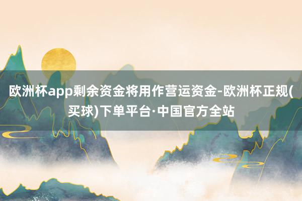 欧洲杯app剩余资金将用作营运资金-欧洲杯正规(买球)下单平台·中国官方全站