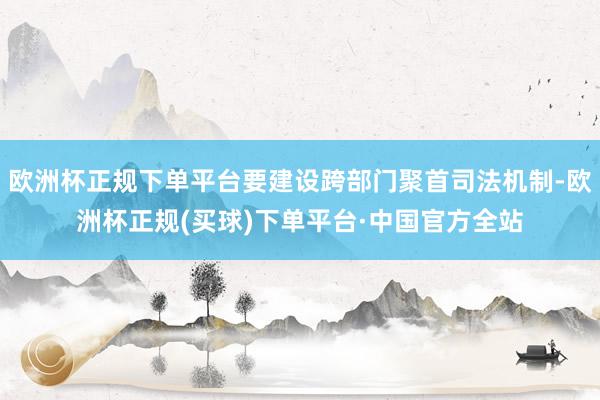 欧洲杯正规下单平台要建设跨部门聚首司法机制-欧洲杯正规(买球)下单平台·中国官方全站
